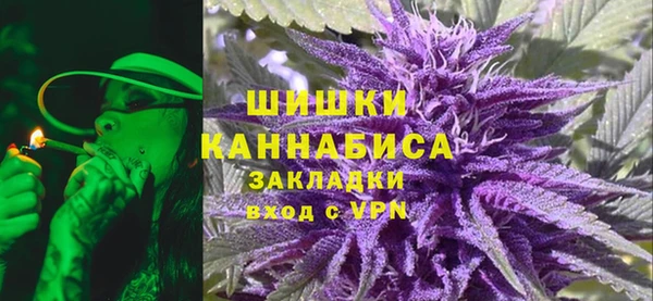 хмурый Алзамай