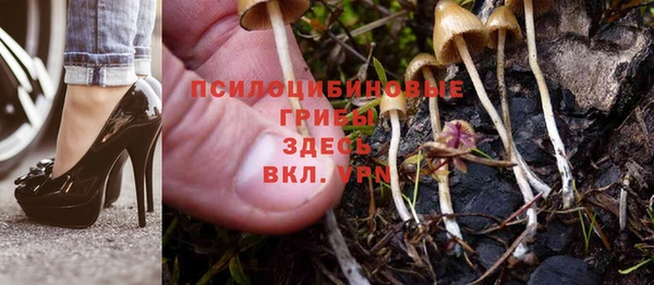 хмурый Алзамай
