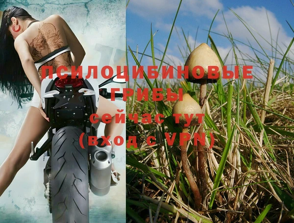 хмурый Алзамай